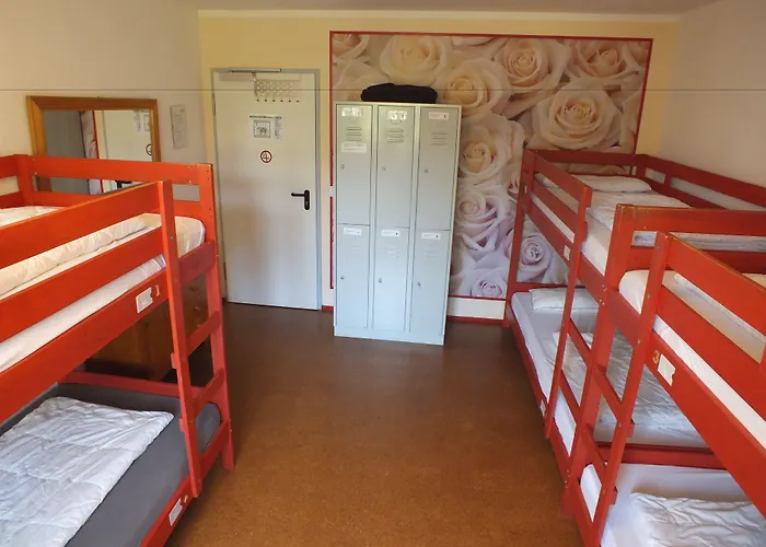 Auberge de jeunesse Max *