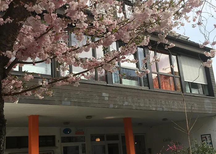 Max Auberge de jeunesse *